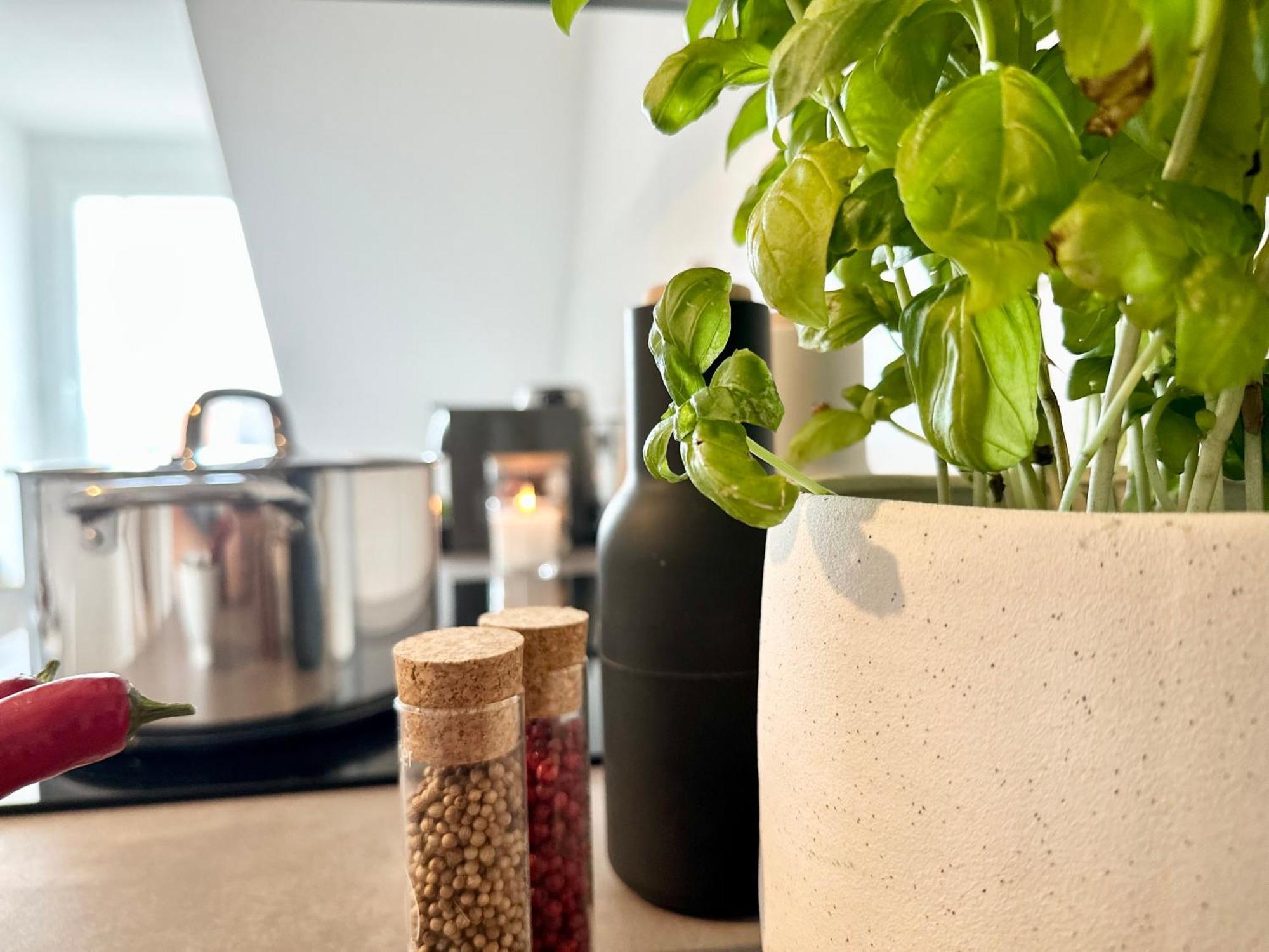Mystay - Zentral - Design - Prime - Kueche Heidelberg Eksteriør billede